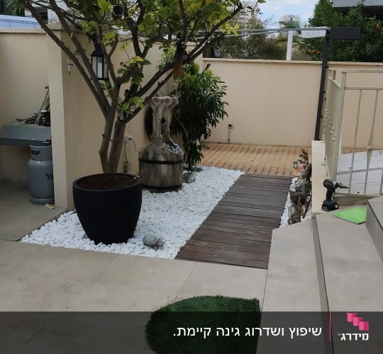 עץ גדול בעציץ, שביל עץ, אבנים לבנות בגינה